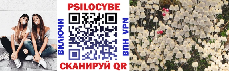 blacksprut ССЫЛКА  Верхнеуральск  Псилоцибиновые грибы Psilocybine cubensis 